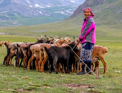 Mongolia nomad