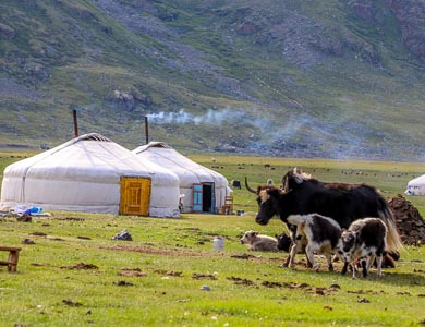 Mongolia nomads