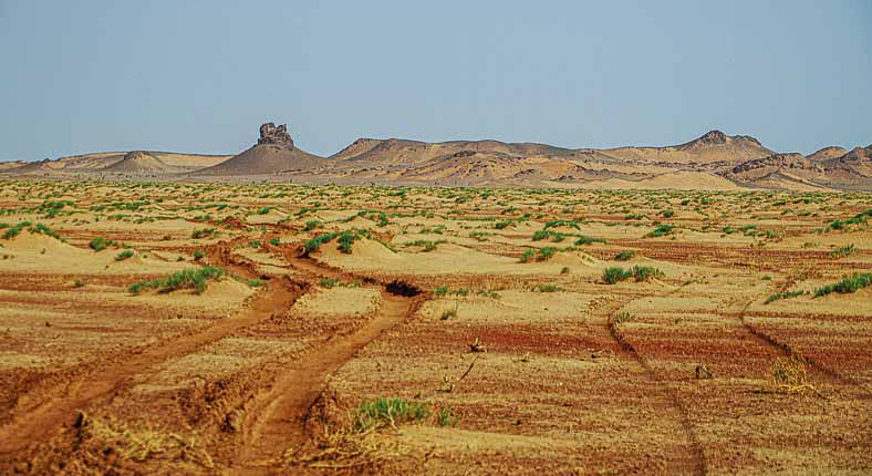 Gobi desert road