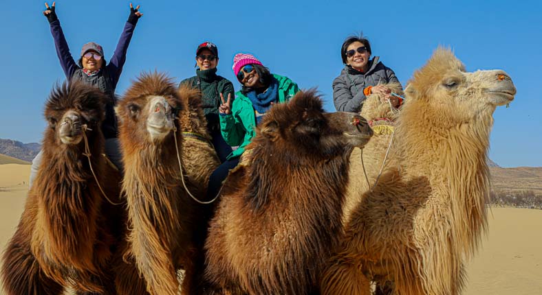 Elsentasarkhai camel riding