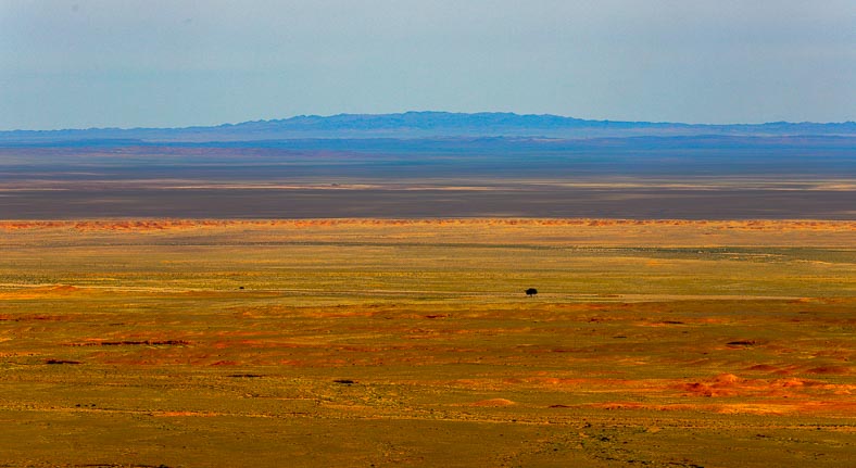 Gobi desert view
