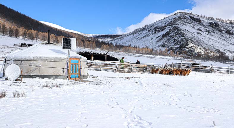 winter in Mongolia
