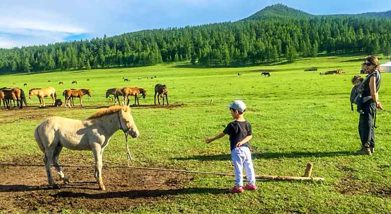 Mongolia family vacation tour