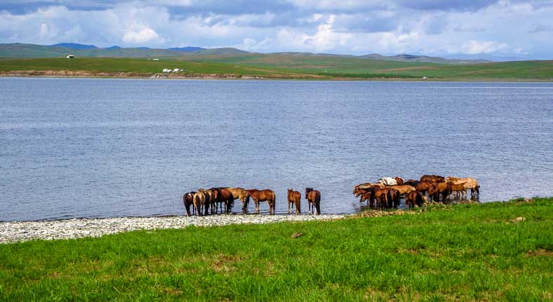 Ugii Lake Mongolia