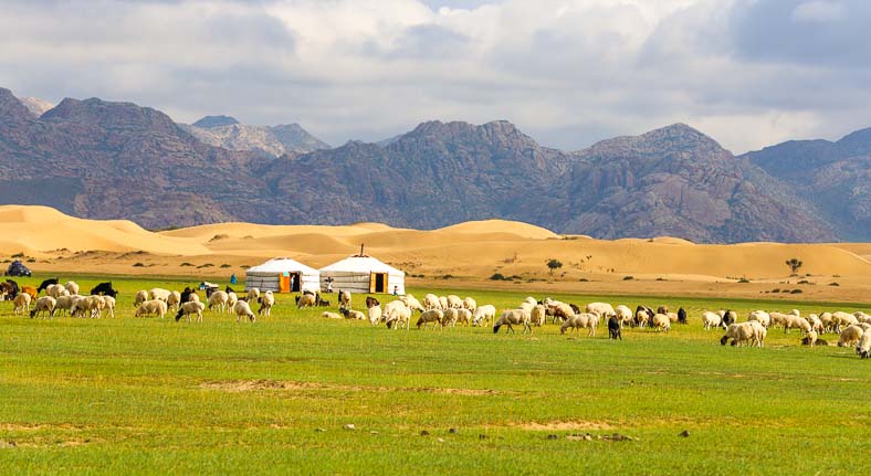 Nomads in semi desert