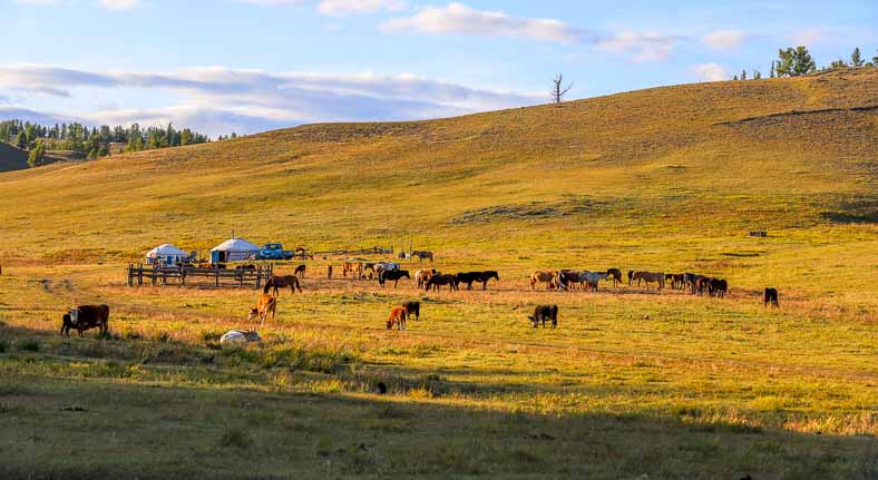 Mongolia horse riding adventure