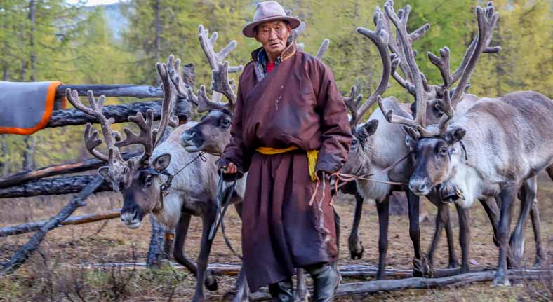 Mongolia reindeer people