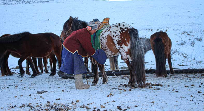 Mongolia horseman