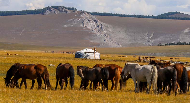 North Mongolia tour