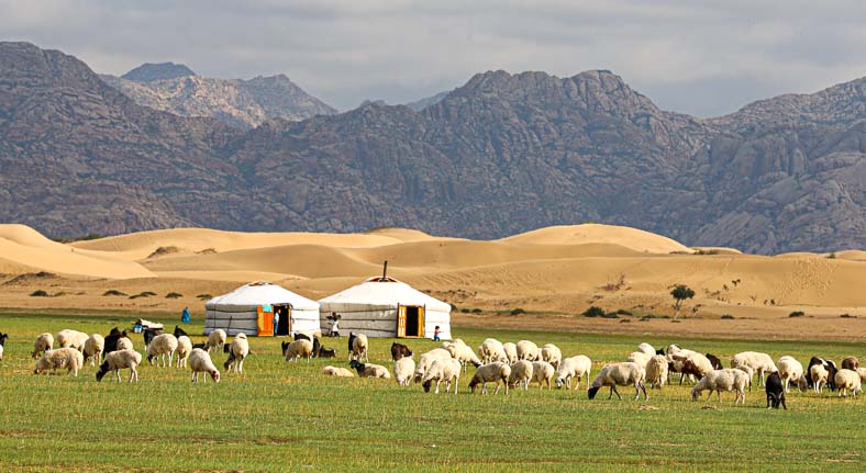 Mongolia nomadic life