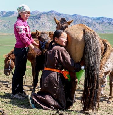 Mongolia cultural tour