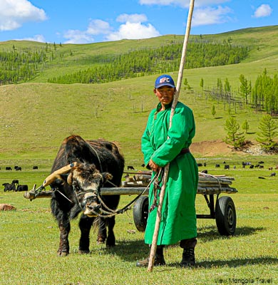 Mongolia horse riding tour