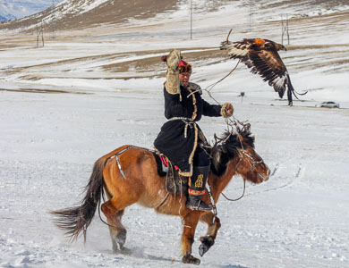 Mongolia eagle hunters