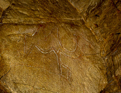 Mongolia Gurvan Tsenkher cave drawing