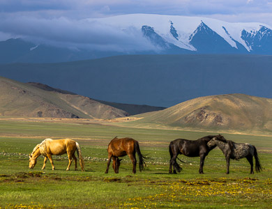 Mongolia Tsambagarav Mountain