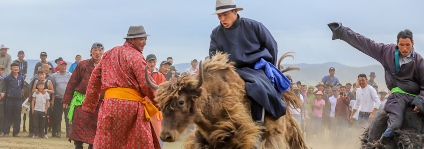 Mongolia yak racing