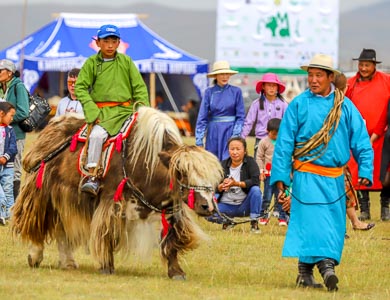 Mongolia yak riding