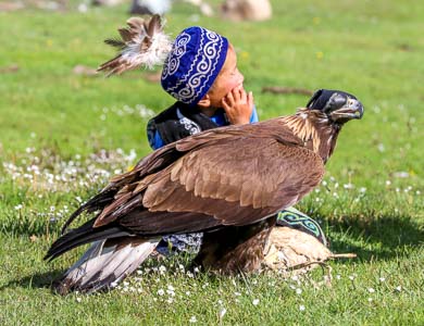 Golden Eagle Festival Mongolia 2023 and 2024 | Mongolian Golden Eagle