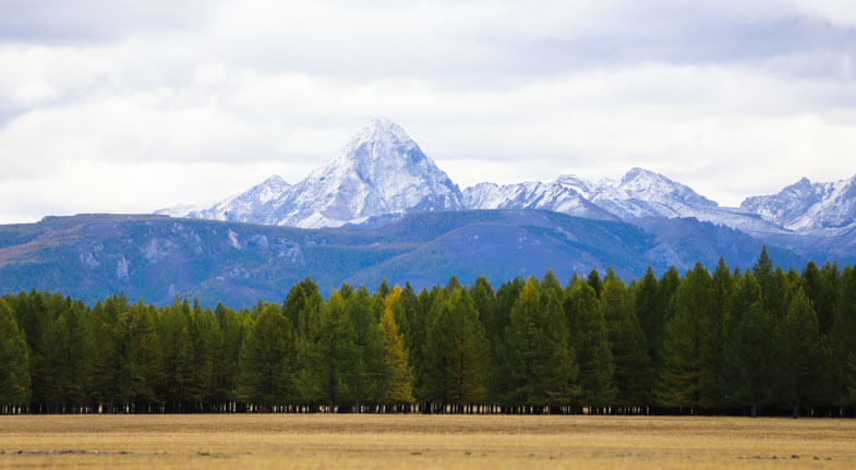 Northen Mongolian landscape