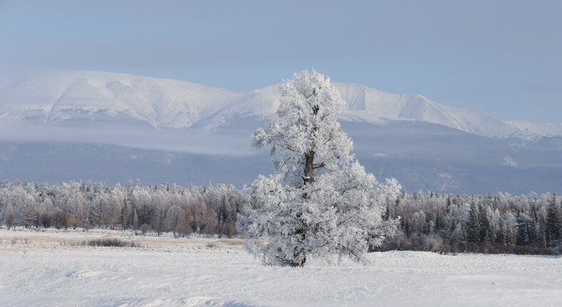 Visit khuvsgul lake in winter