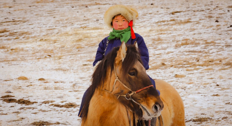 Visit reindeer herders in winter