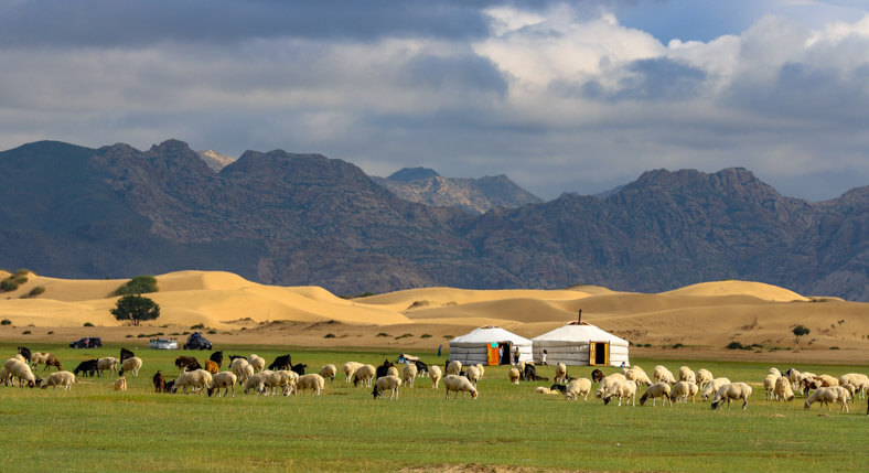 Mongolia 5 day tour