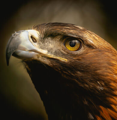 3 week travel Mongolia