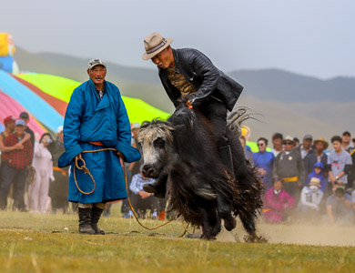 Yak training